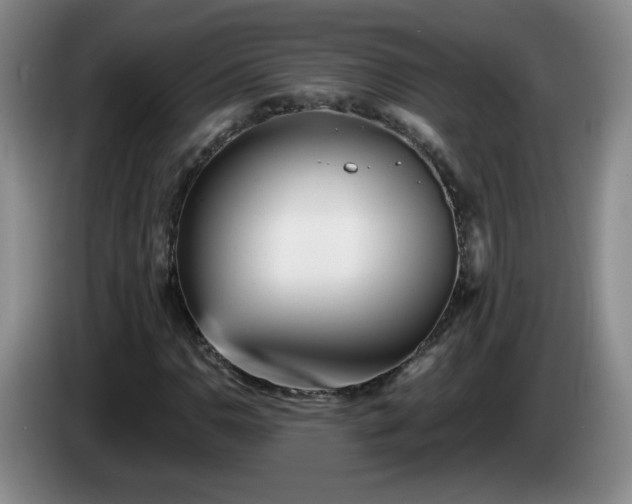 X0000085021110200703121537