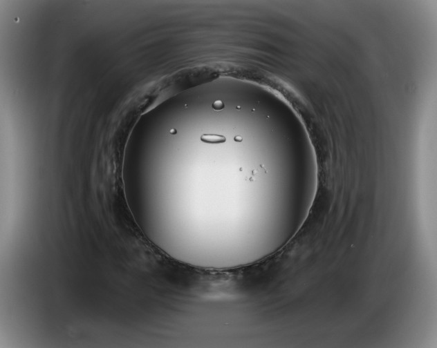 X0000085021111200703121537