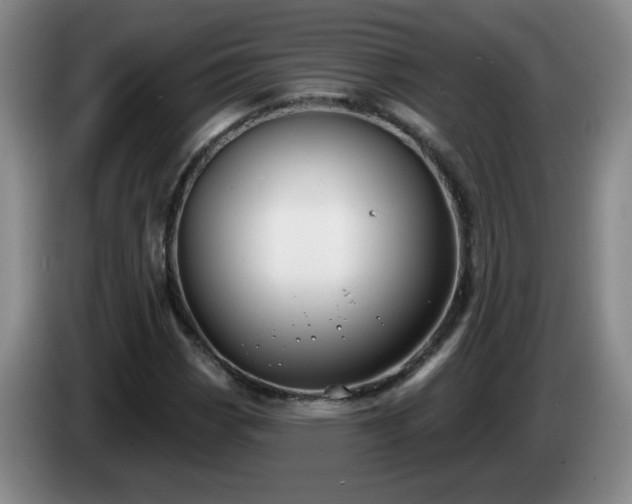X0000085021113200703121537