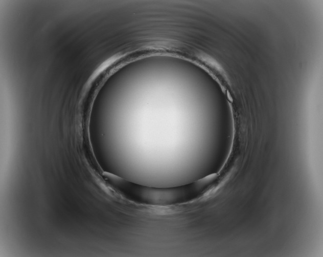 X0000085021114200703121537