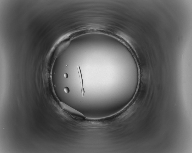 X0000085021115200703121537