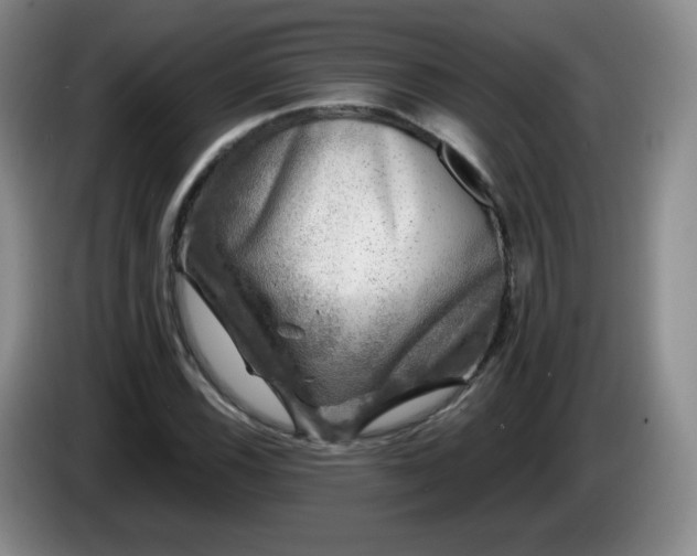 X0000085021116200703121537