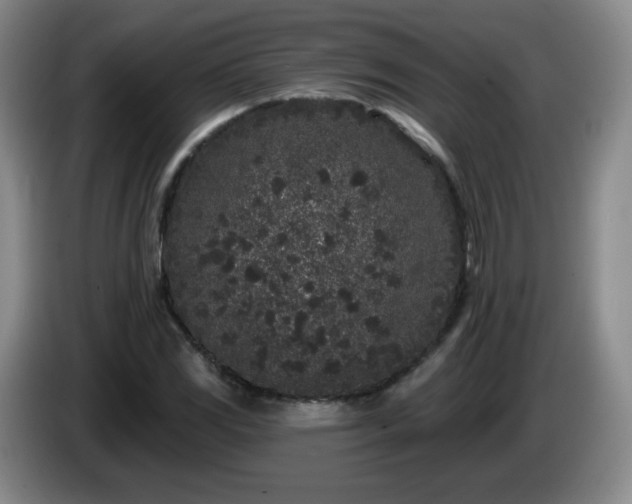 X0000085021117200703121537