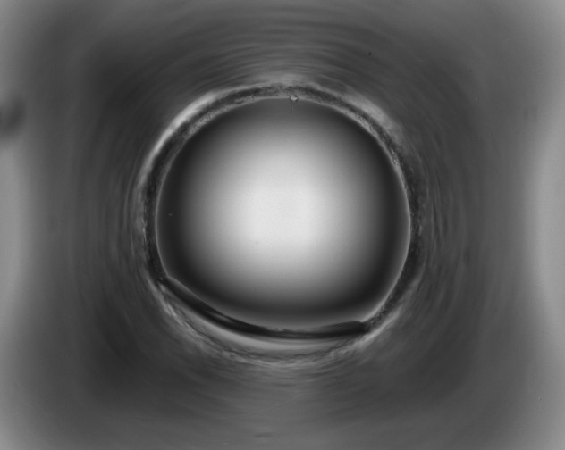 X0000085021118200703121537