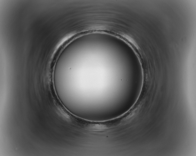 X0000085021119200703121537