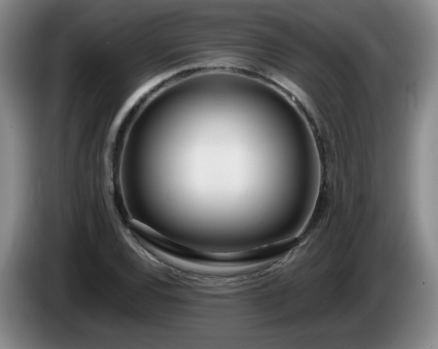 X0000085021120200703121537