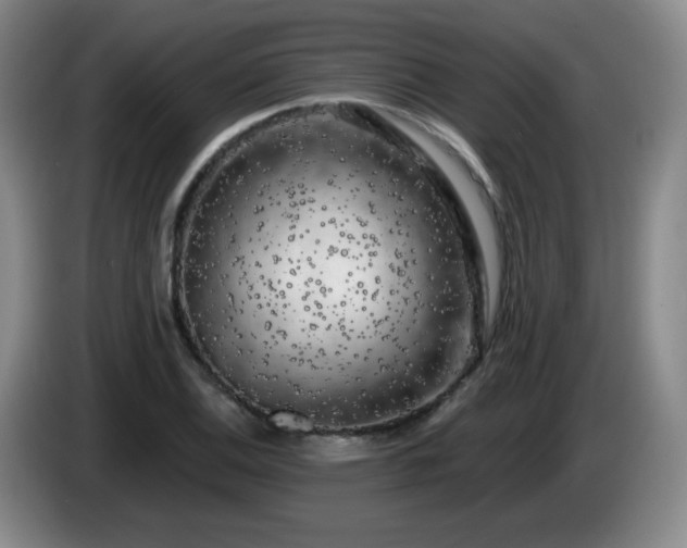 X0000085021124200703121537