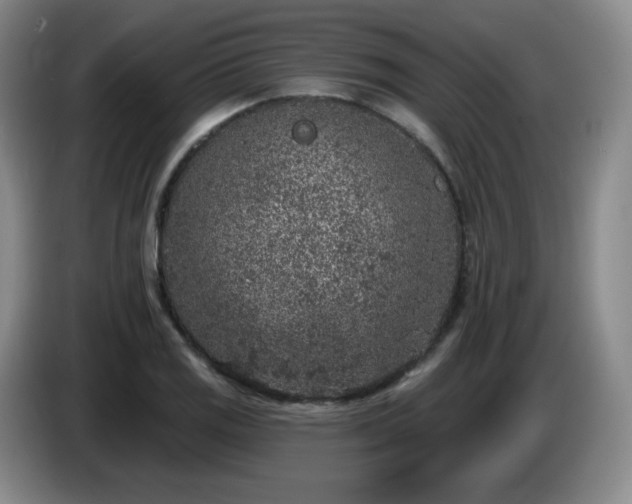 X0000085021125200703121537
