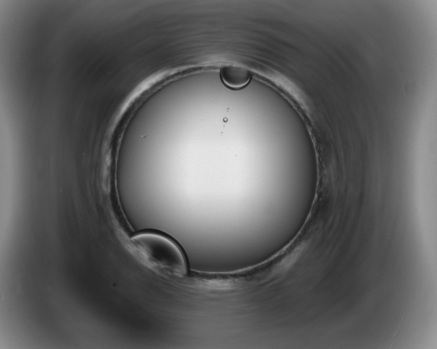 X0000085021126200703121537