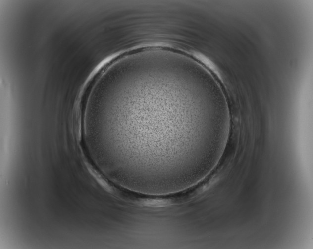 X0000085021127200703121537