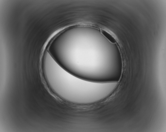 X0000085021128200703121537