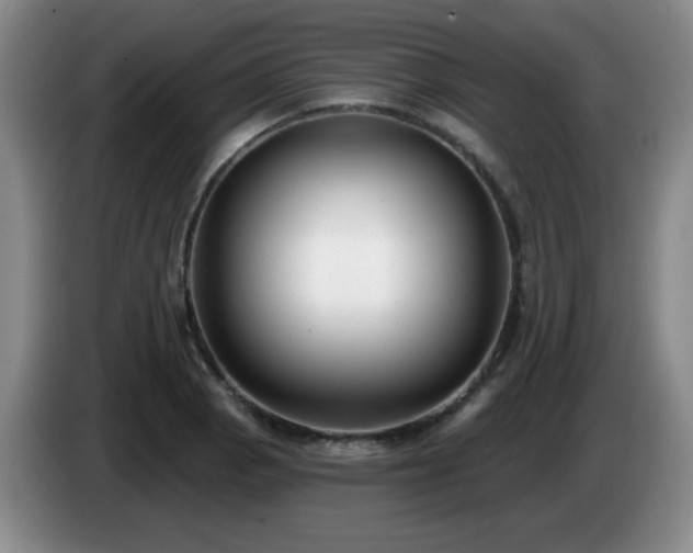X0000085021129200703121537