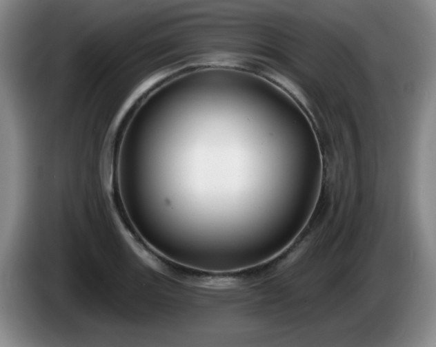 X0000085021131200703121537