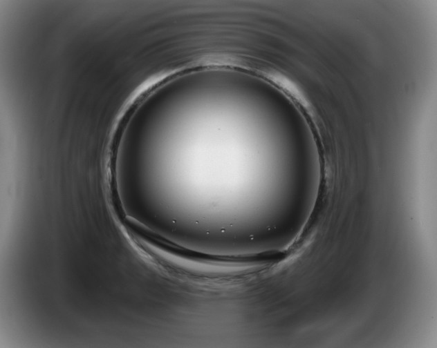 X0000085021133200703121537