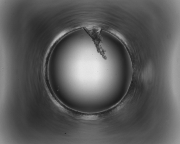 X0000085021135200703121537