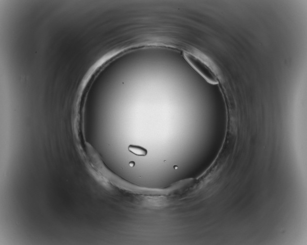 X0000085021136200703121537