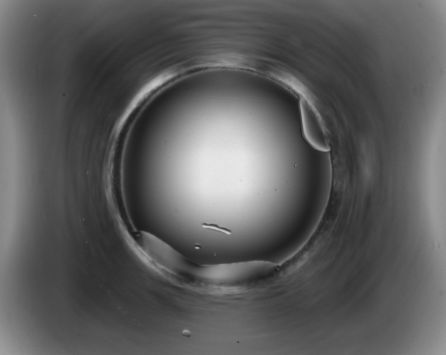 X0000085021139200703121537
