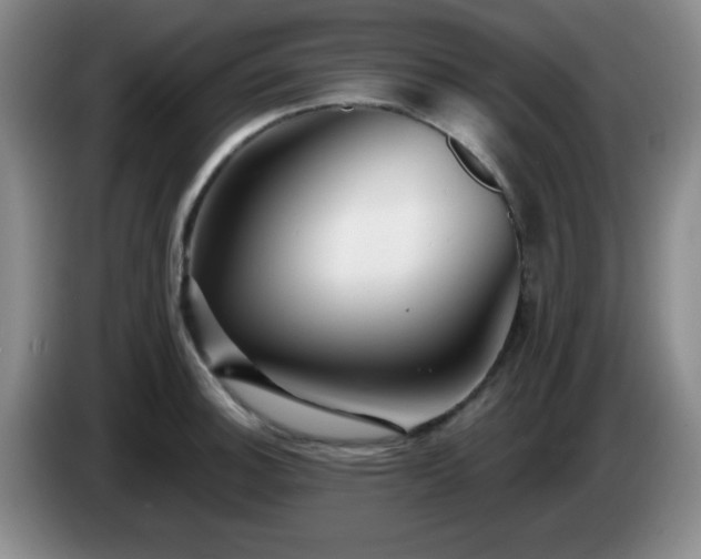 X0000085021140200703121537