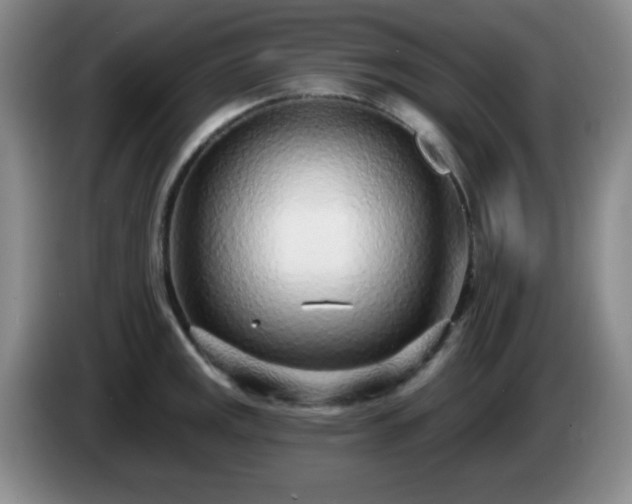 X0000085021141200703121537
