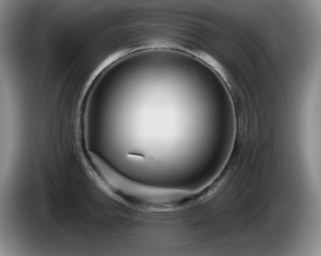 X0000085021142200703121537