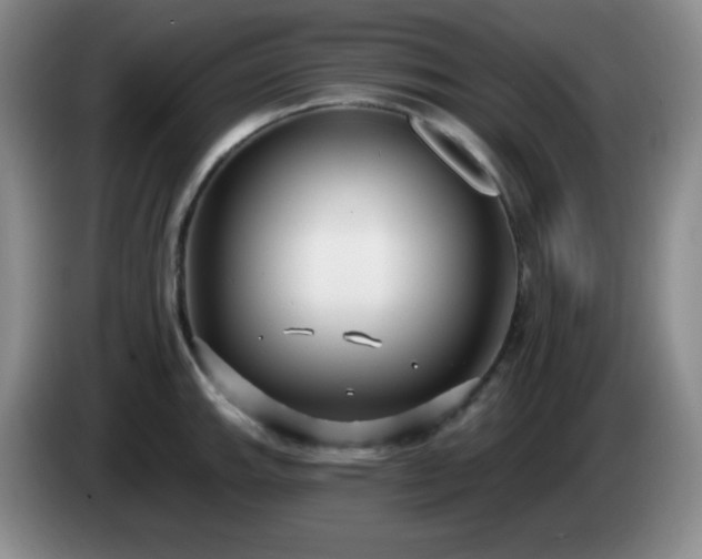 X0000085021143200703121537