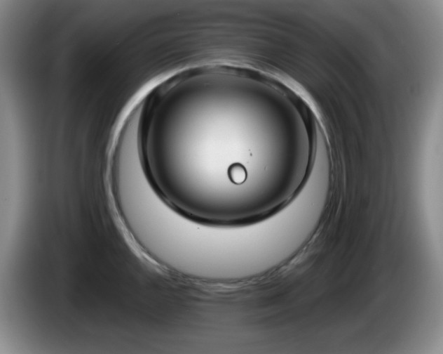 X0000085021144200703121537