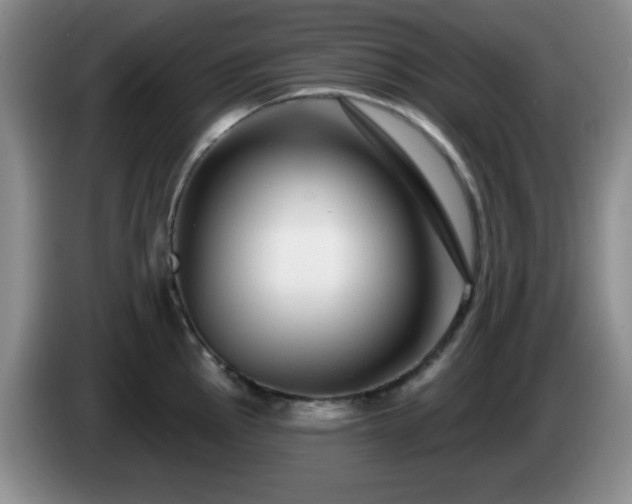 X0000085021145200703121537
