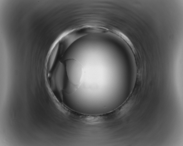 X0000085021146200703121537