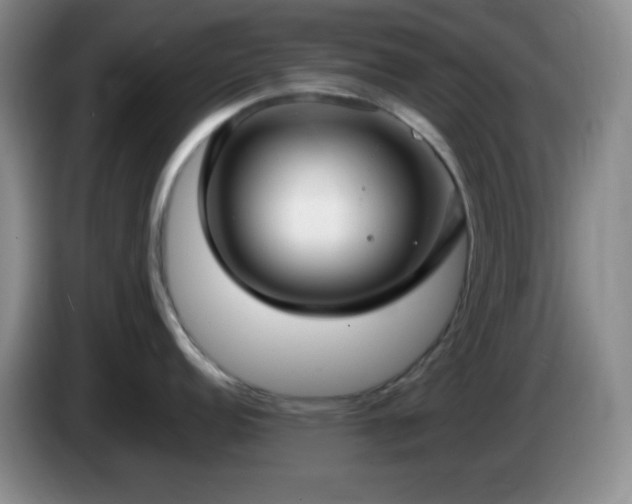 X0000085021152200703121537