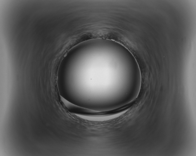 X0000085021153200703121536