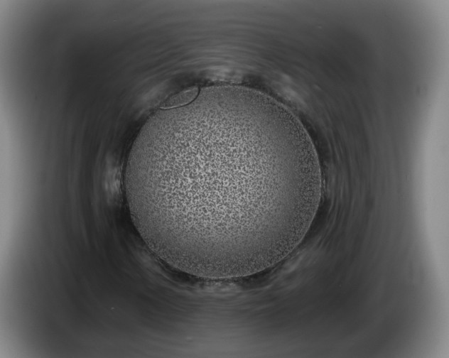 X0000085021154200703121536