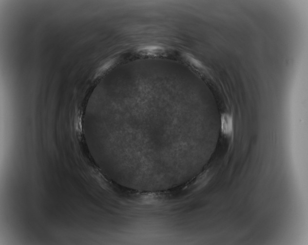 X0000085021155200703121536