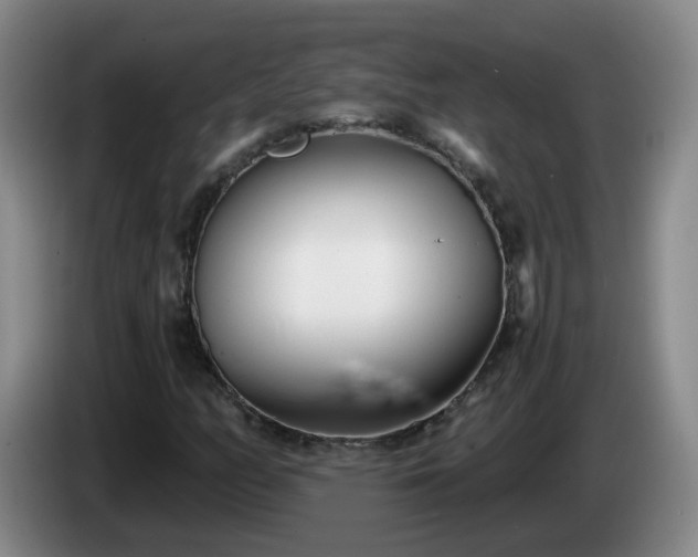 X0000085021158200703121536