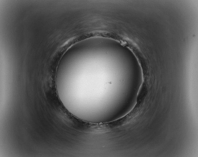 X0000085021159200703121536