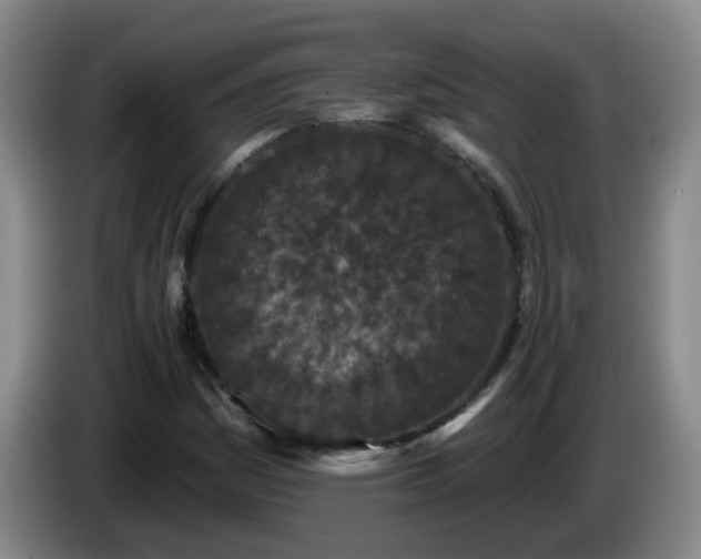 X0000085021161200703121536