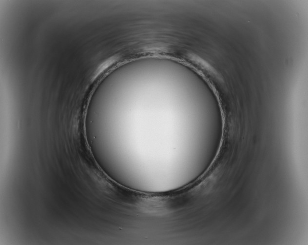 X0000085021162200703121536