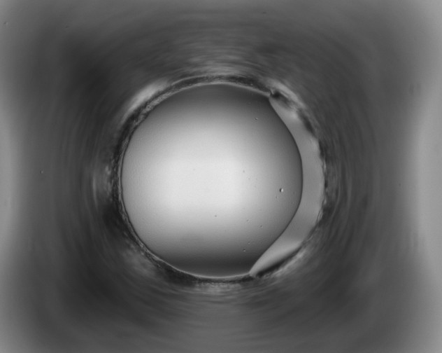 X0000085021163200703121536