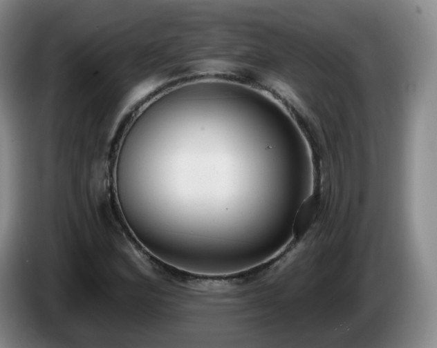X0000085021164200703121536
