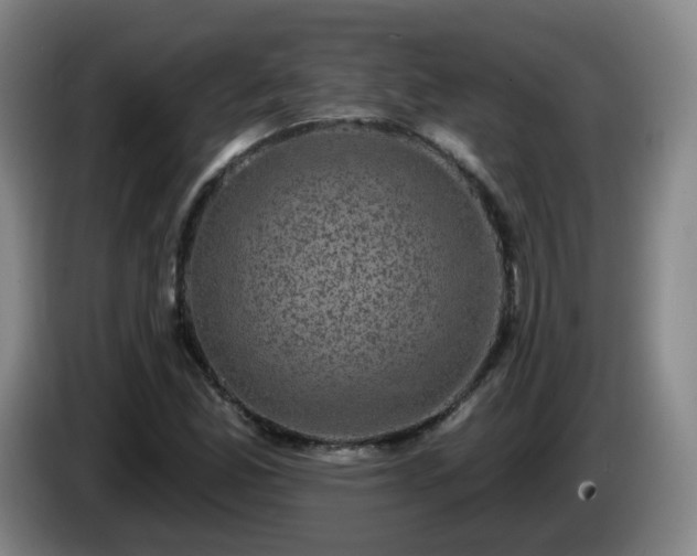 X0000085021165200703121536
