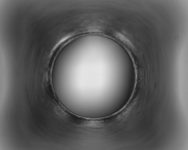 X0000085021166200703121536