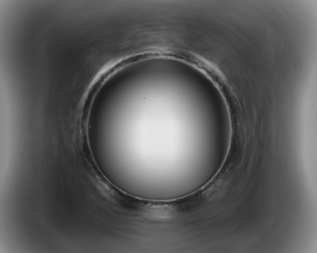 X0000085021168200703121536