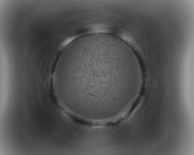 X0000085021169200703121536
