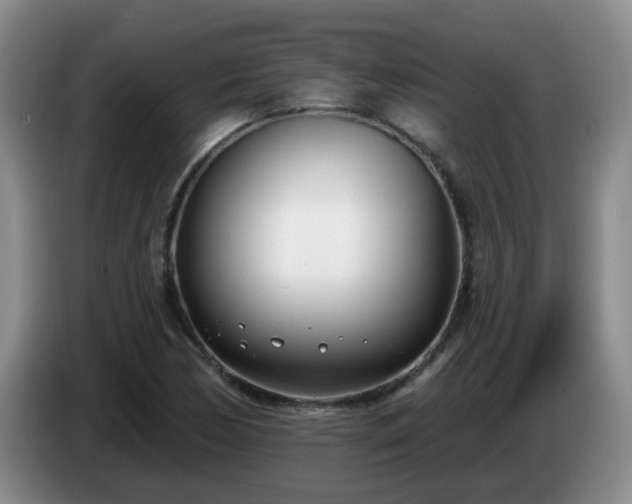 X0000085021170200703121536
