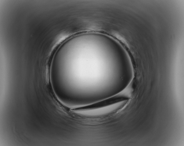 X0000085021171200703121536