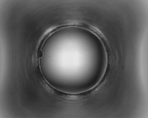 X0000085021172200703121536
