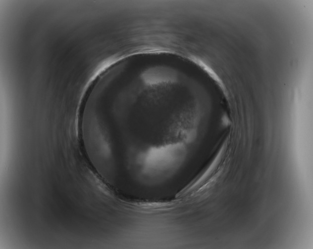 X0000085021173200703121536