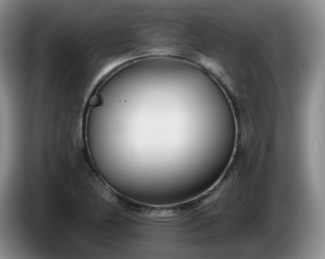 X0000085021174200703121536