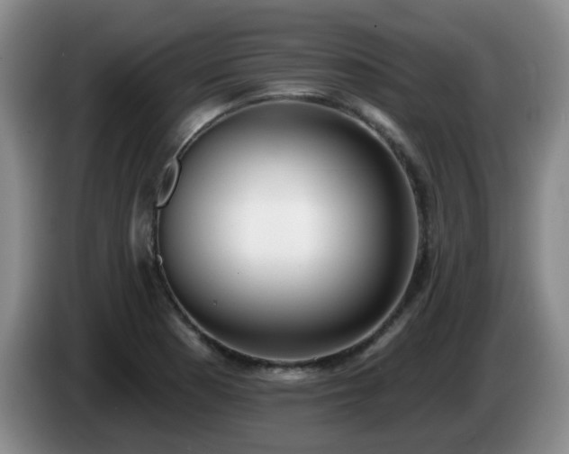 X0000085021177200703121536