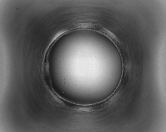 X0000085021178200703121536