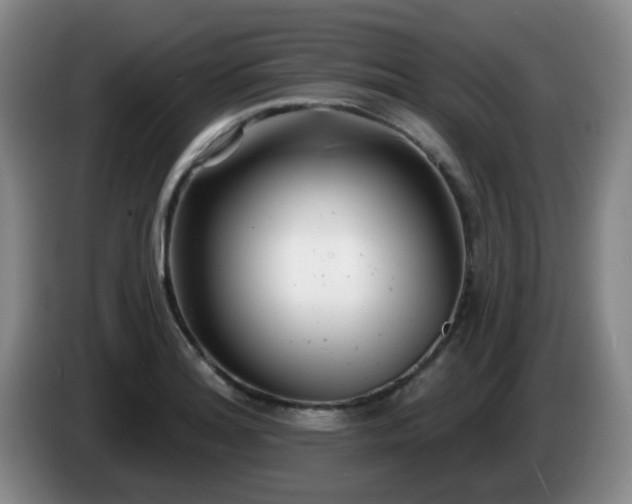 X0000085021180200703121536